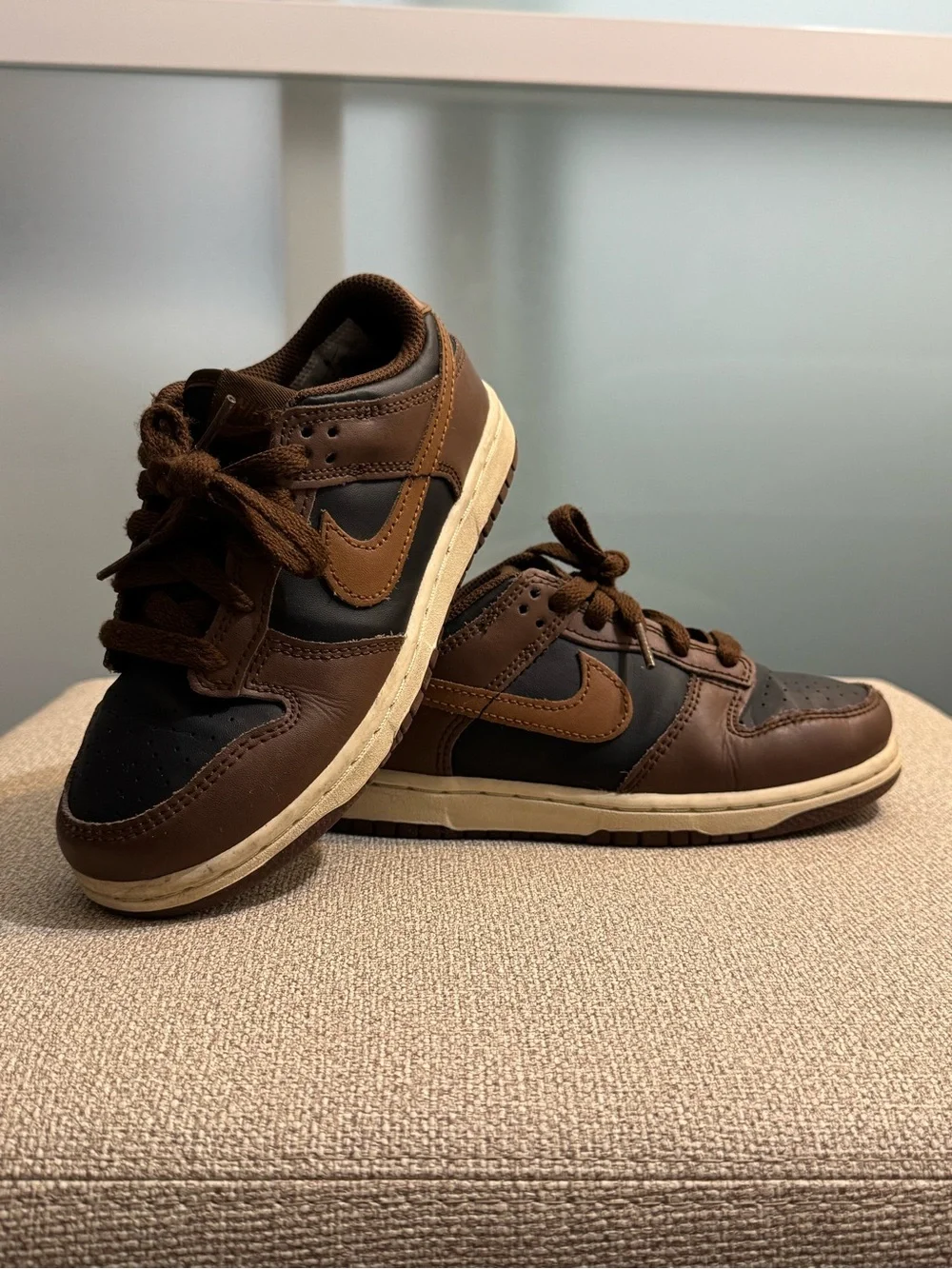Boys low top leather Nike Dunks